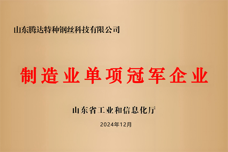 制造業(yè)單項(xiàng)冠軍企業(yè)