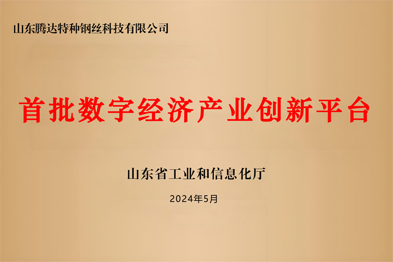 數(shù)字經(jīng)濟(jì)平臺